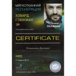 сертифікат Резниченко Дмитро Віталійович