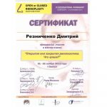 сертификат Резниченко Дмитрий Витальевич